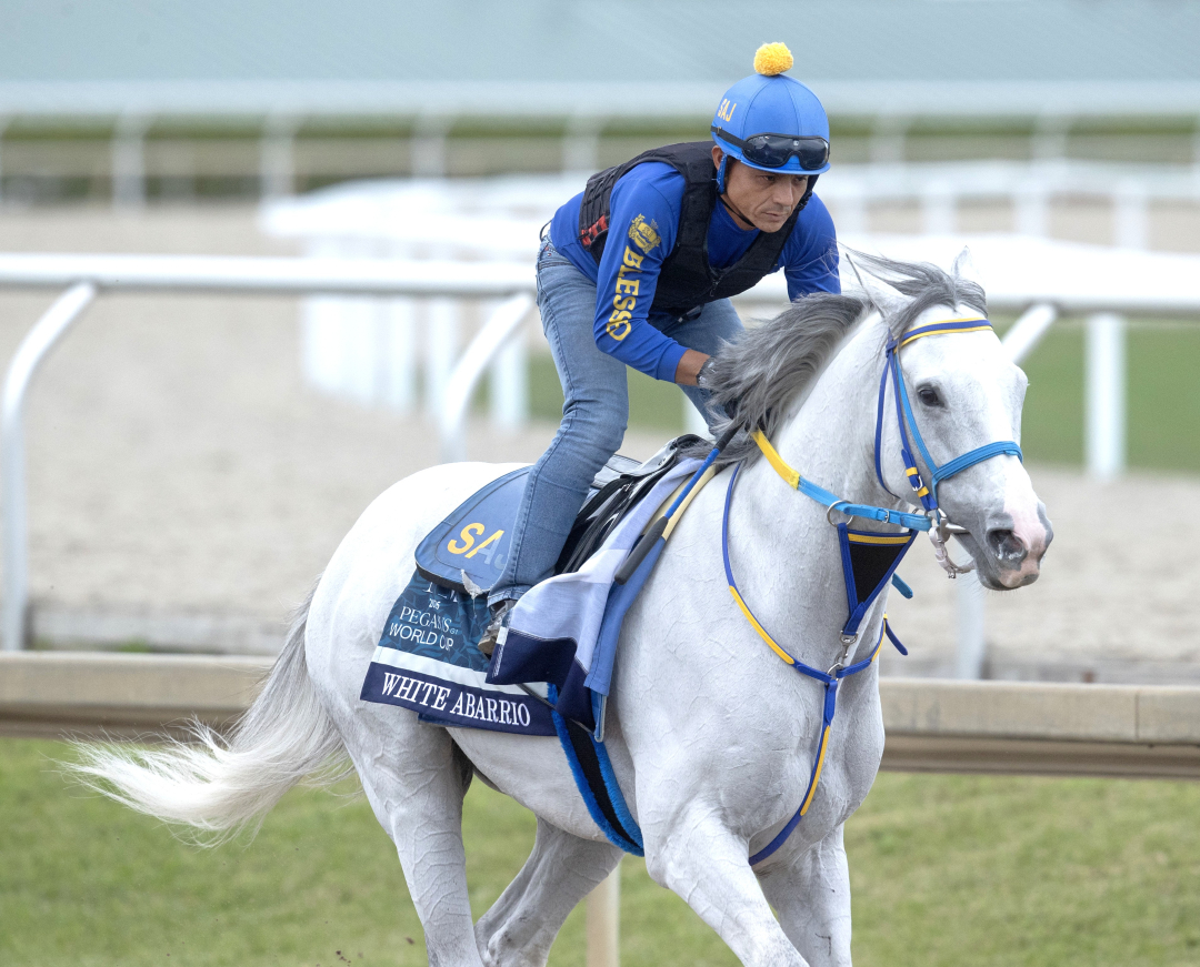 White Abarrio trains at GP Jan 21 2026