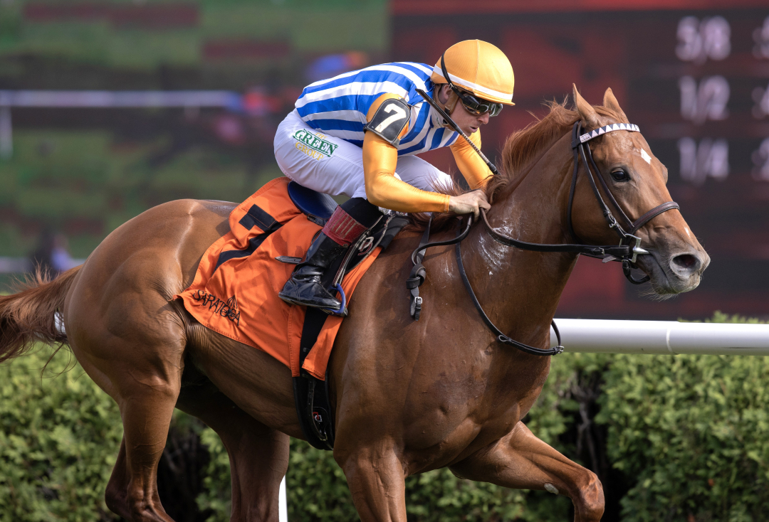 Attfield wins debut at SAR Aug 29 2025