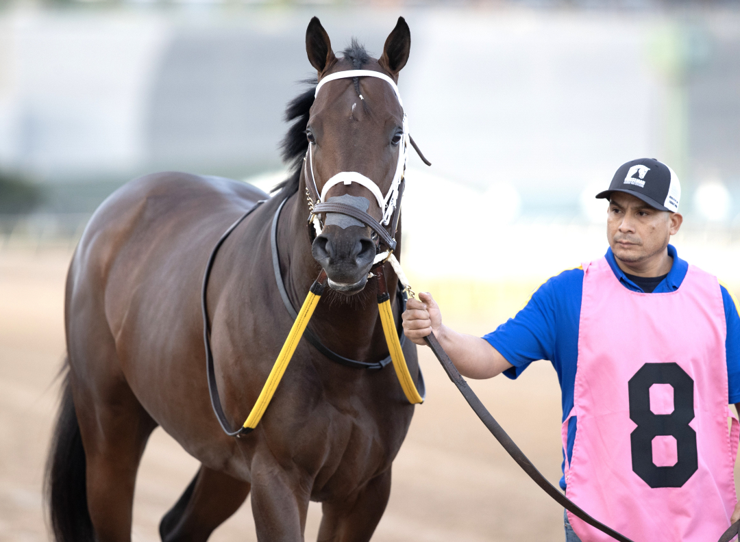 Bravaro at GP Jan 31 2026