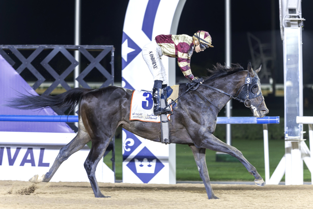 Brotherly Love wins Dubai Road to the Kentucky Derby Stakes at Meydan Feb 20 2026