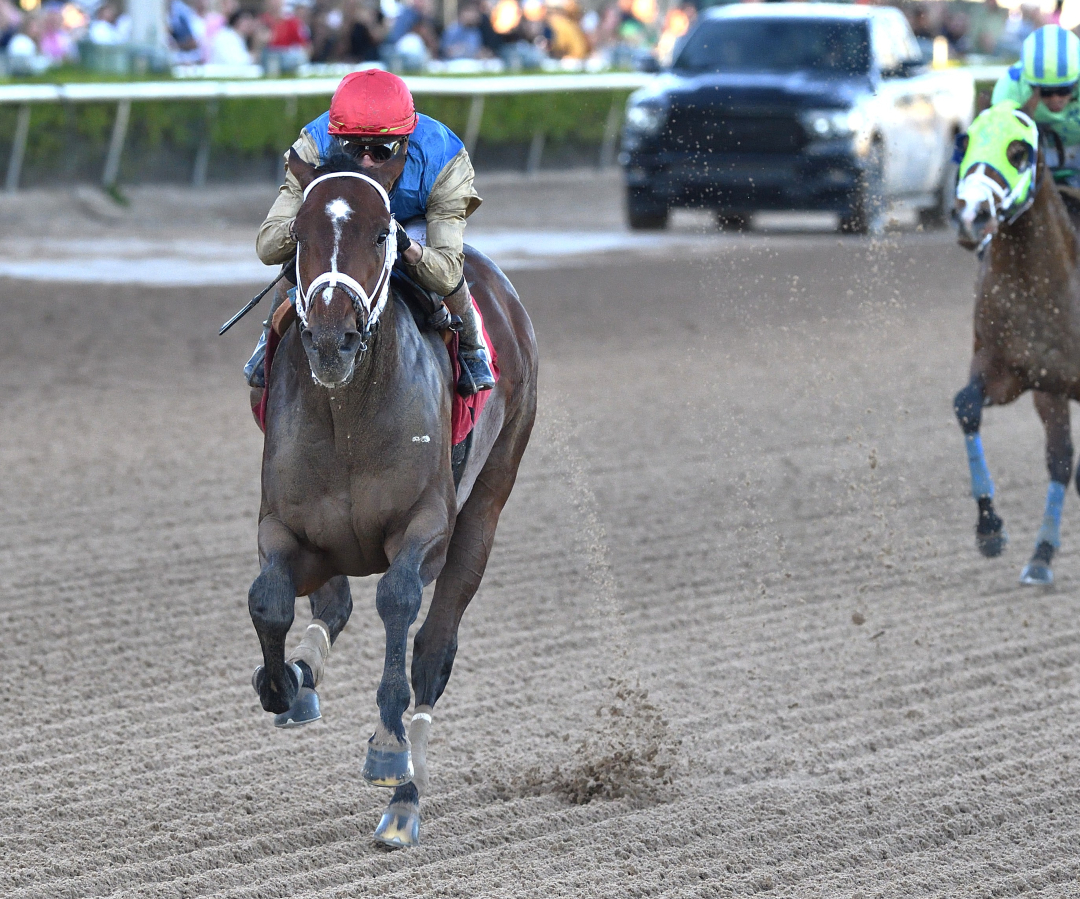 Commandment wins Mucho Macho Man at GP Jan 3 2026