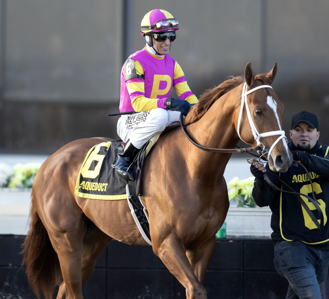 Courting at AQU Dec 6 2025