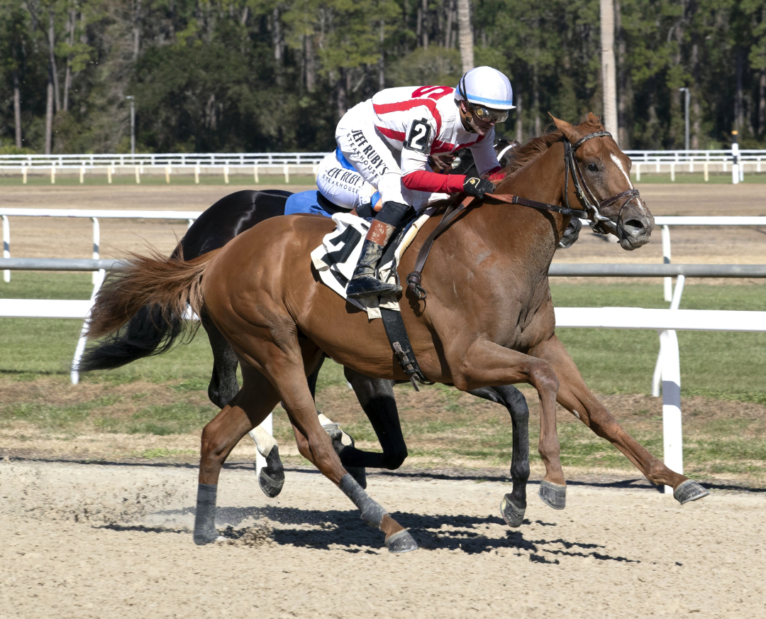 Emerging Market wins debut at TAM Feb 7 2026