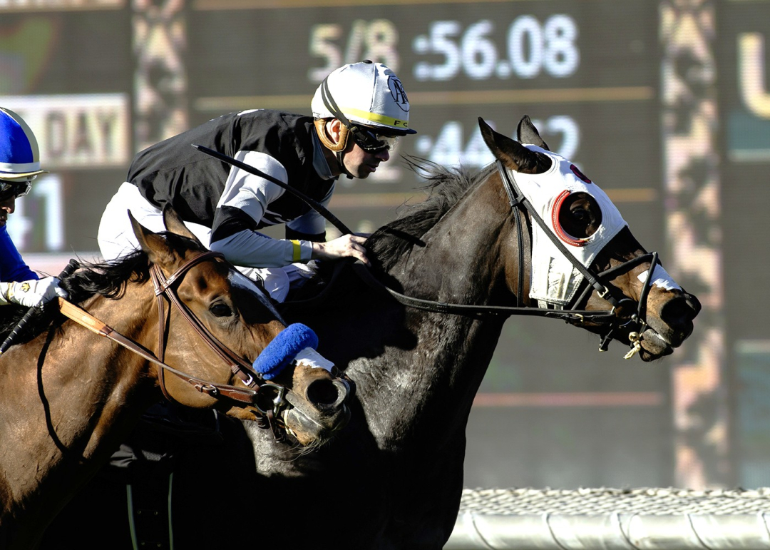 Gratefully (blinkers) wins Wishing Well at SA Feb 21 2026