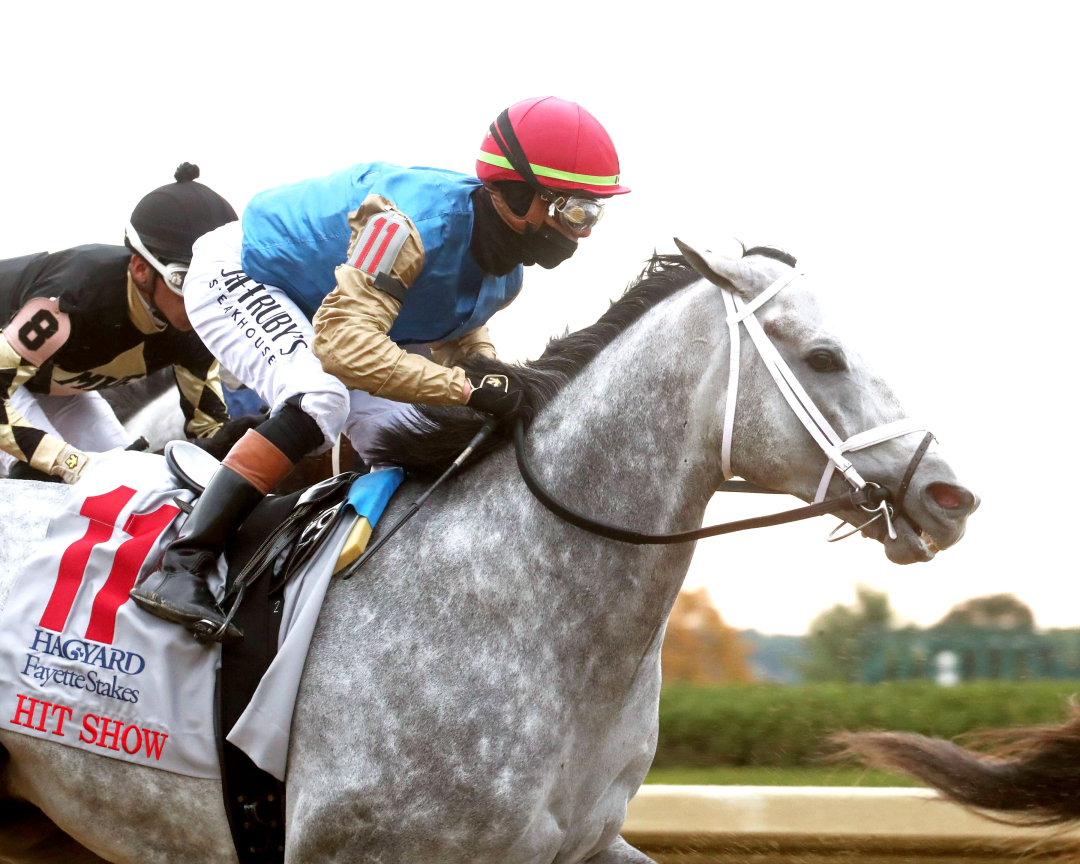 Hit Show during Fayette Stakes at KEE Oct 25 2025