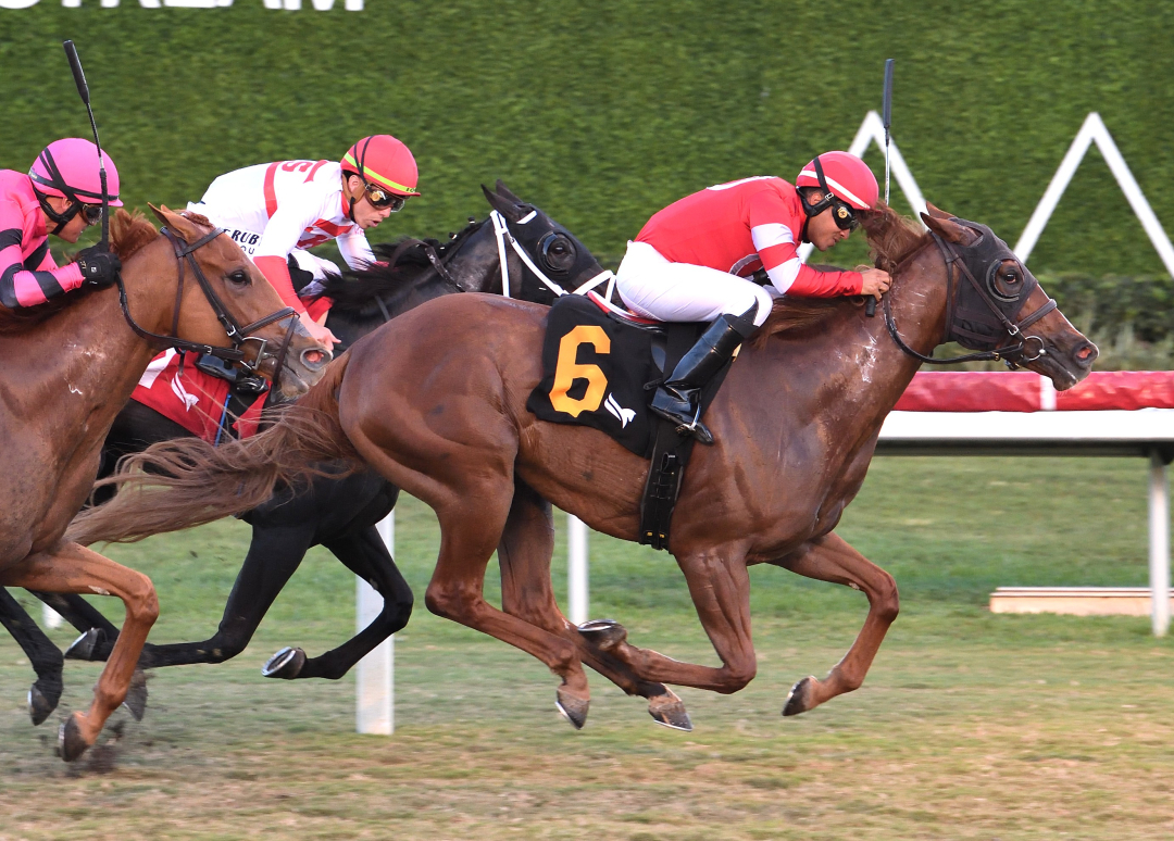 Ifyousaidso wins at GP Jan 8 2026