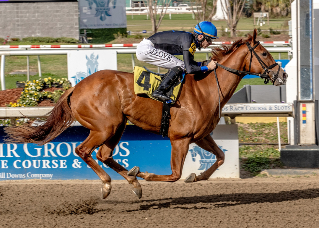 Little Miss Curlin wins Louisiana Futurity at DG Jan 3 2026