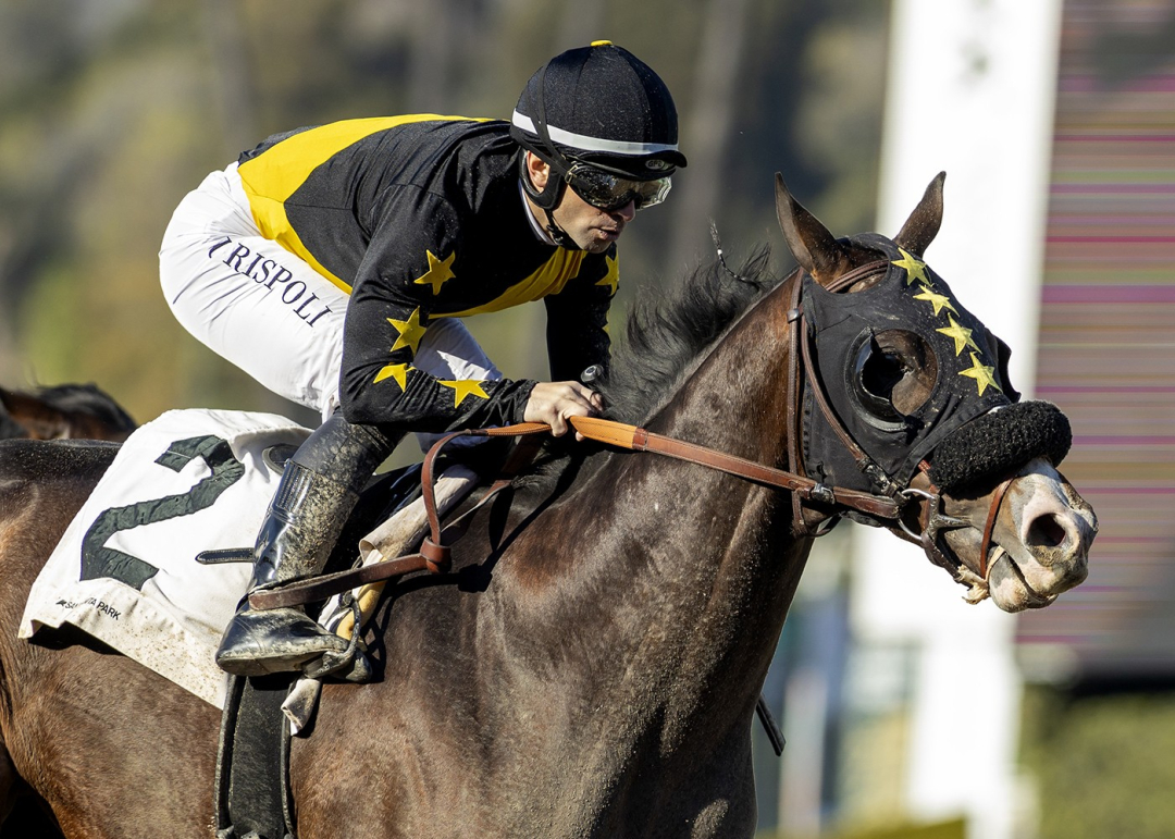 Mici's Express wins California Cup Derby at SA Jan 13 2024