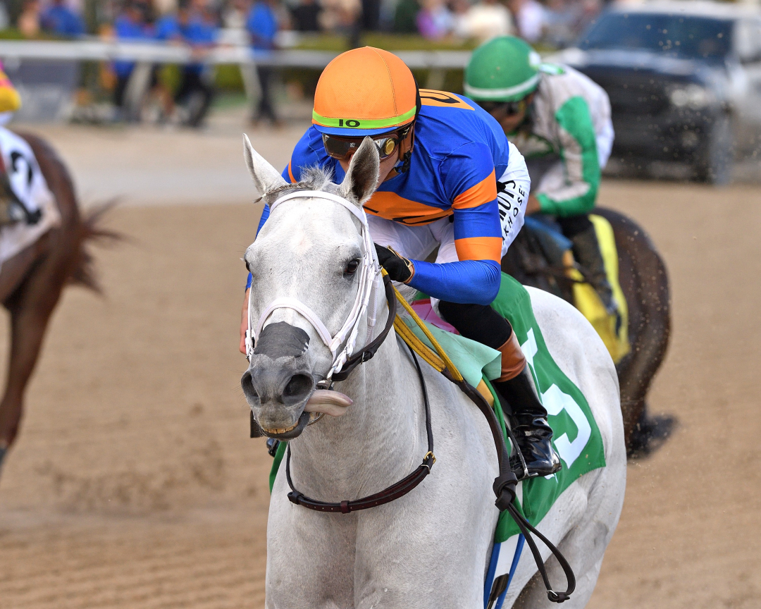 Mish wins at GP Dec 15 2024