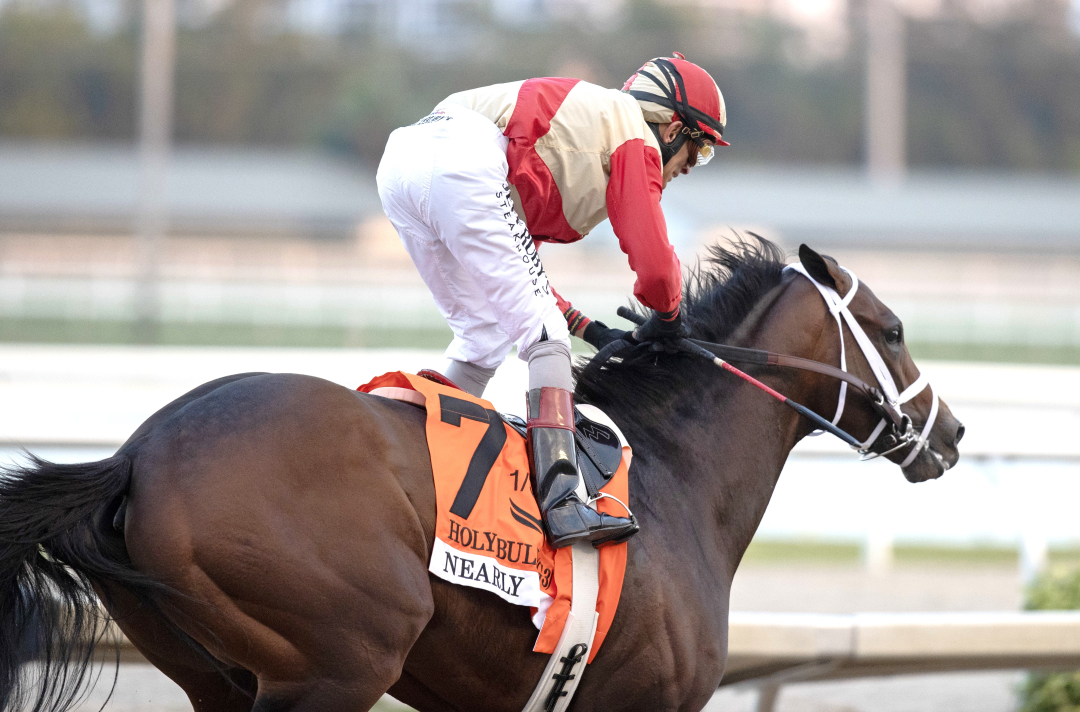 Nearly wins Holy Bull at GP Jan 31 2026