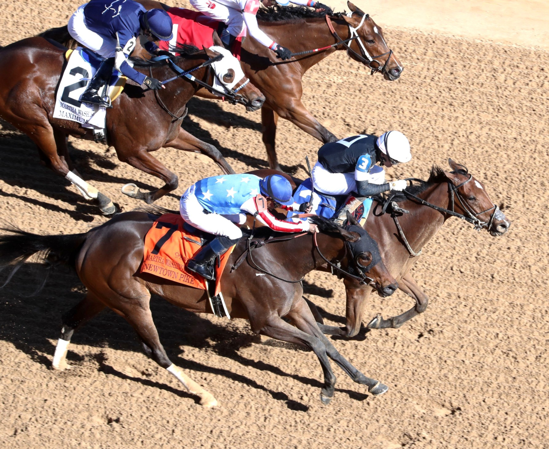 Search Party wins Martha Washington at OP Feb 6 2025