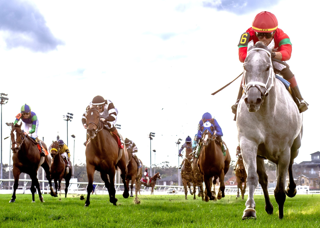 Shining Star wins Mardi Gras at FG Feb 17 2026