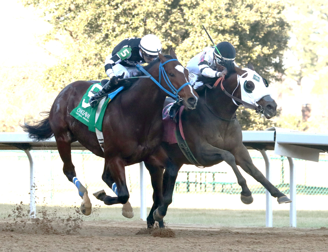 Will Take It wins Fifth Season at OP Feb 5 2026