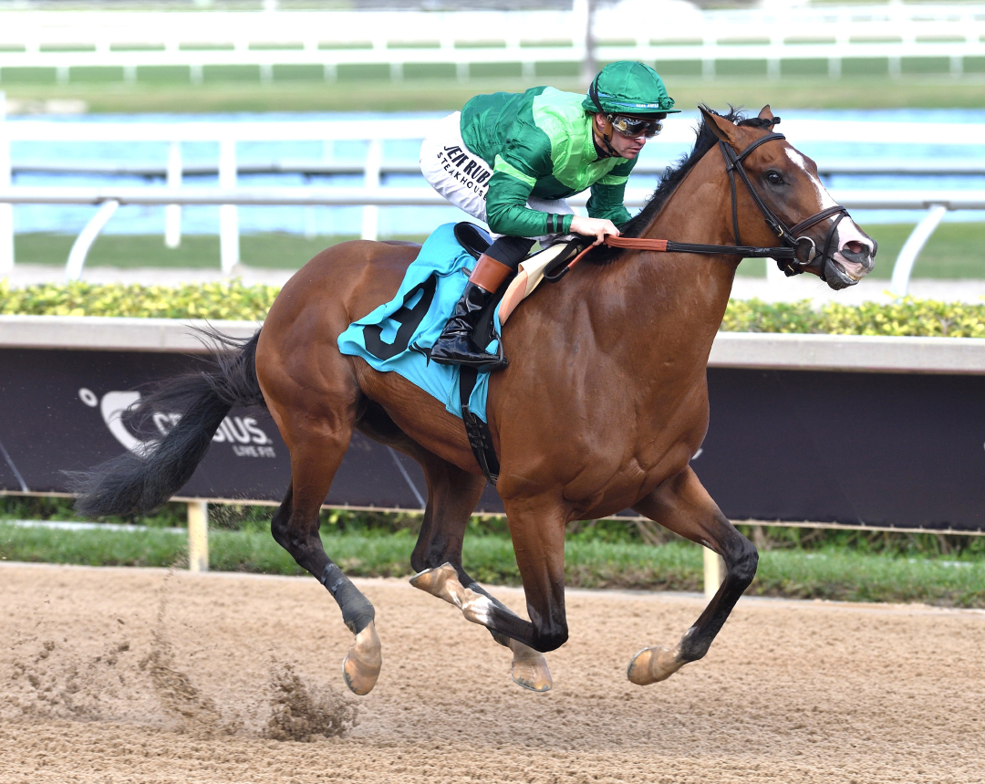 Canaletto wins debut at GP Jan 25 2026