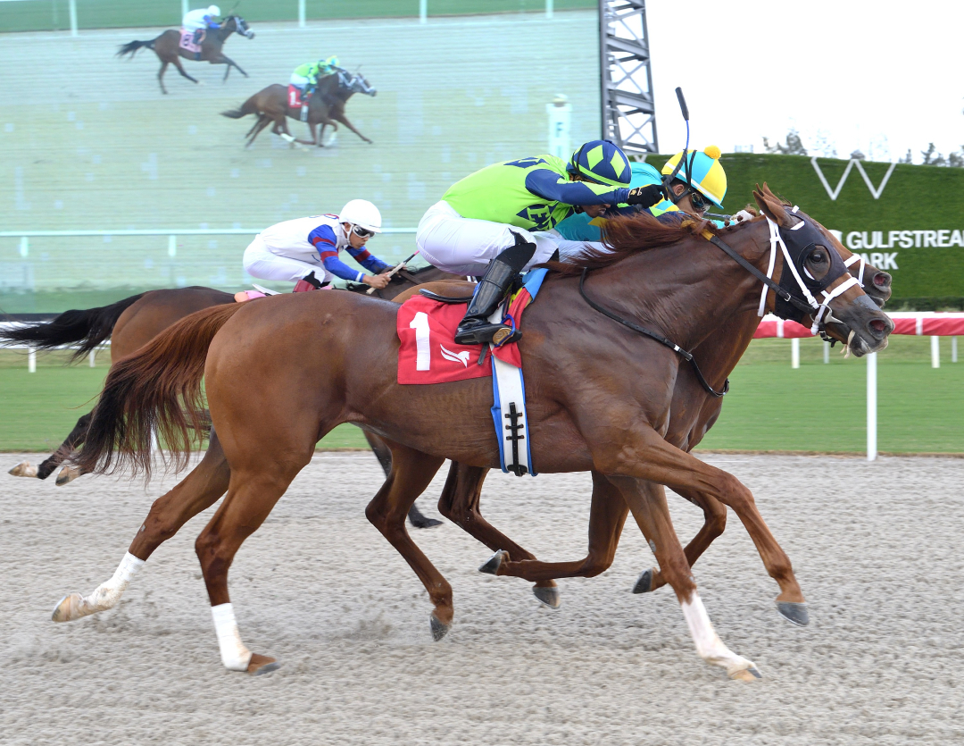 City Minute (No. 1) wins maiden at GP Nov 27 2025