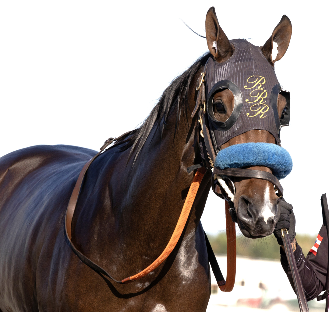 Dry Powder at Parx Sept 20 2026