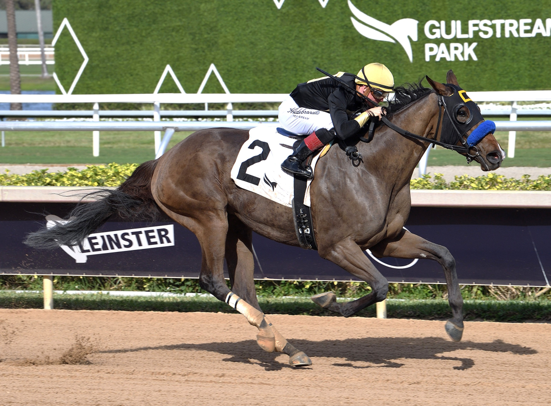 Dry Powder wins at GP March 12 2026