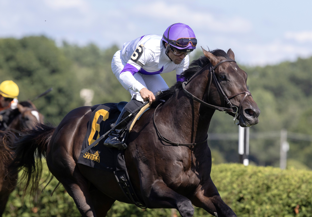 Intricate Spirit wins maiden at SAR Aug 1 2026.BL.jpg