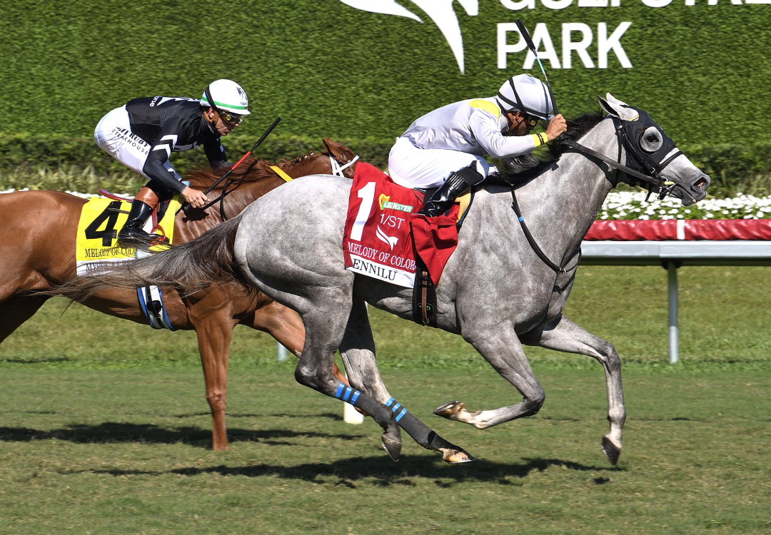 Lennilu wins Melody of Colors at GP March 22 2026