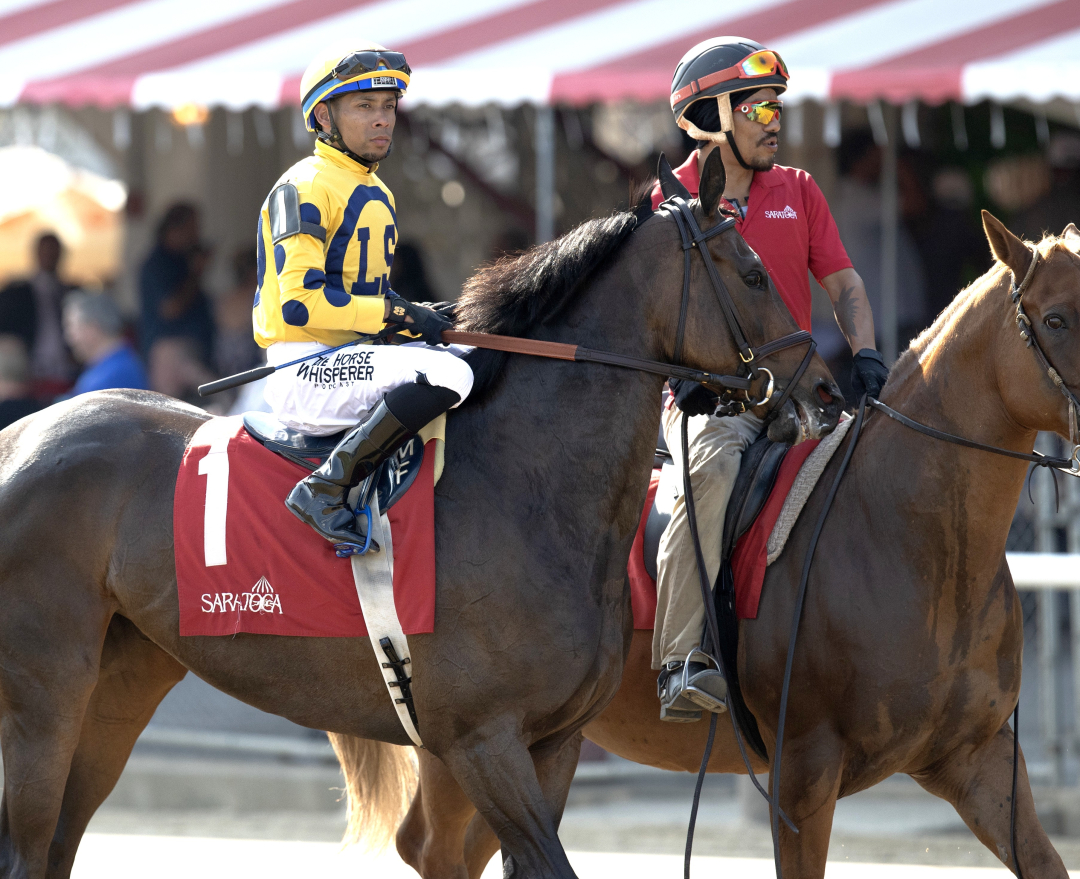 Malleymoo at SAR July 24 2025