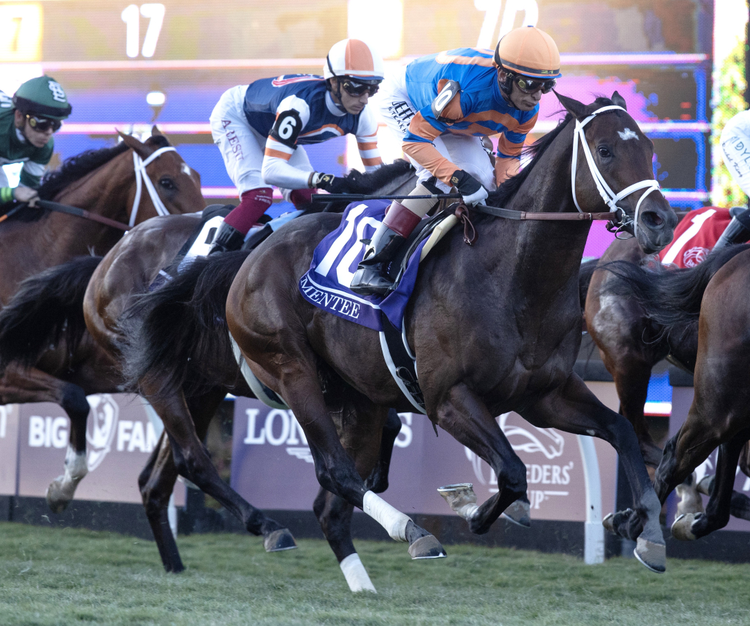 Mentee (not winner) during BC Juv Turf Nov 1 2024