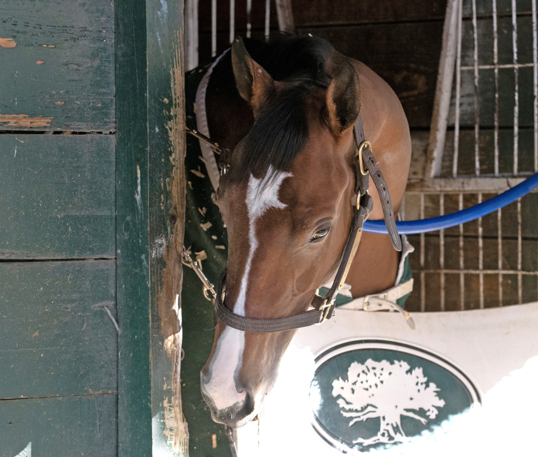 Mythical at GP Jan 29 2026