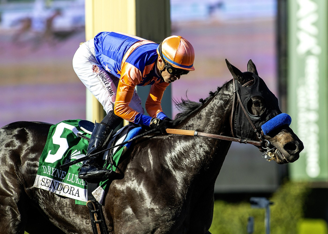 Splendora wins D. Way Lukas at SA Feb 7 2026