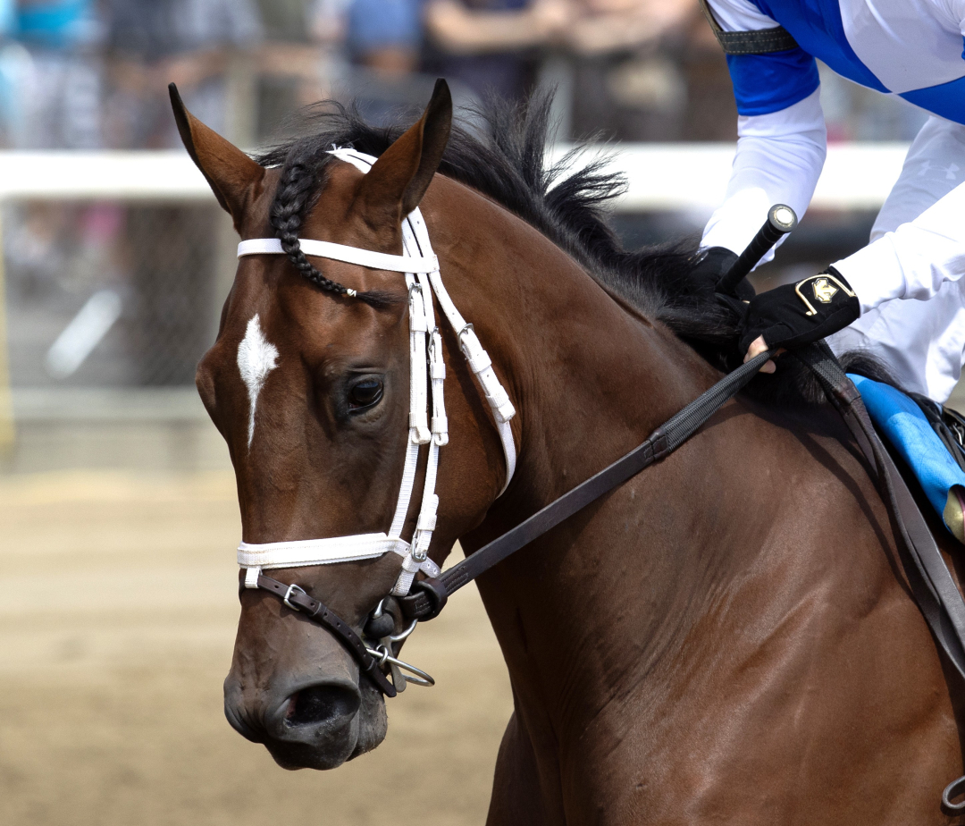 Stunner at SAR Aug 23 2024