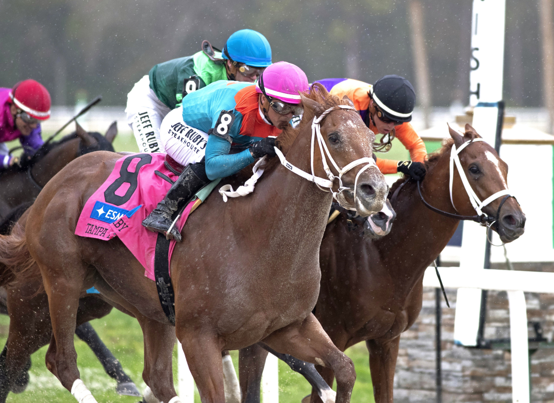 The Puma (left) wins Tampa Bay Derby March 7 2026