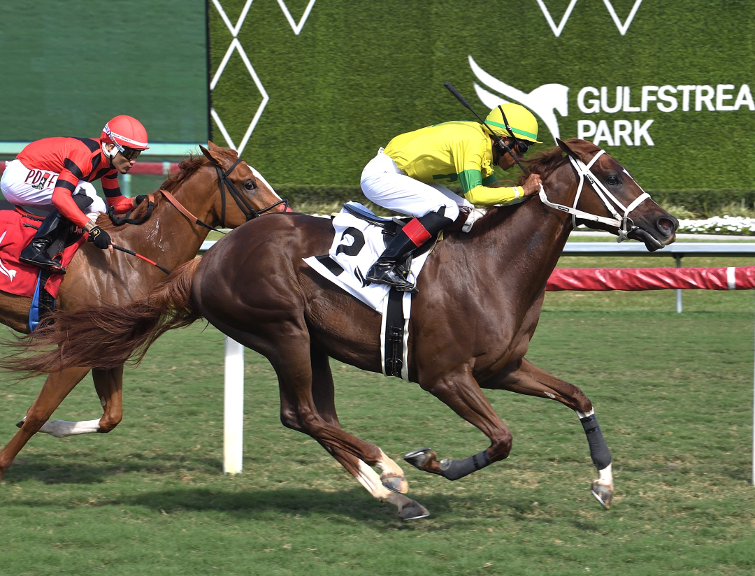 Ababajoni wins at GP March 6 2026