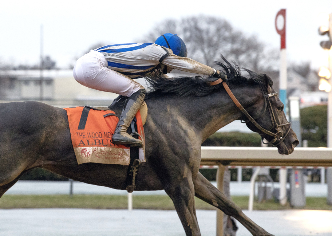 Albus wins Wood Memorial at AQU April 4 2026