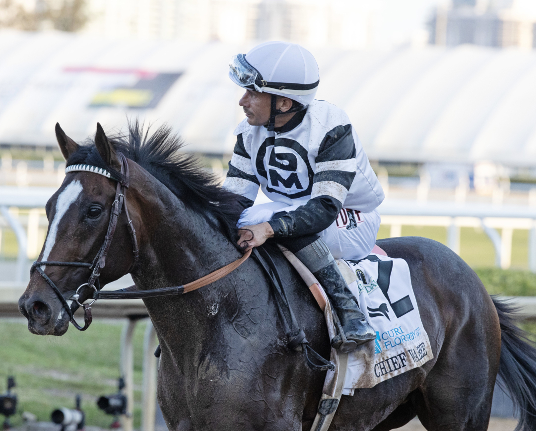 Chief Wallabee at GP March 28 2026