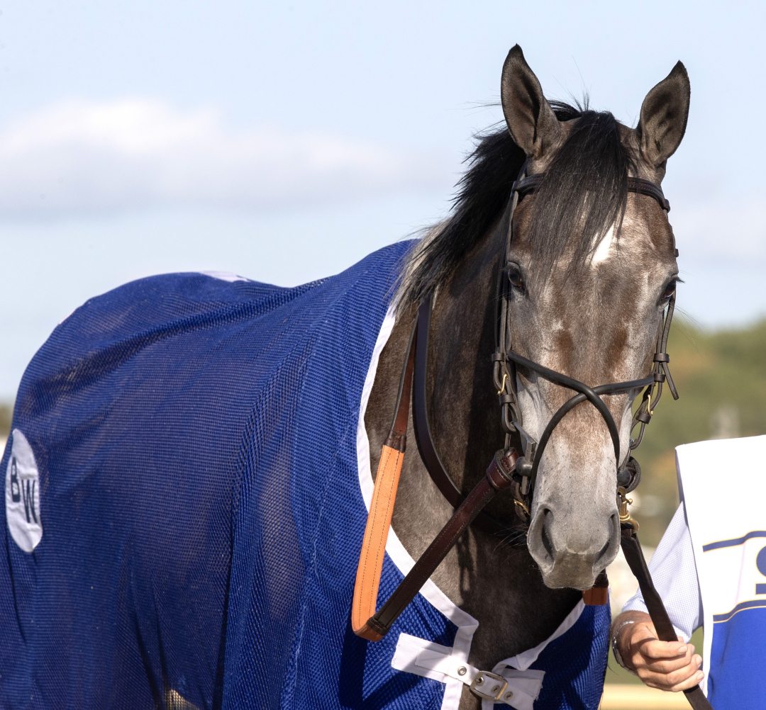 Clicquot at PRX Sept 20 2025