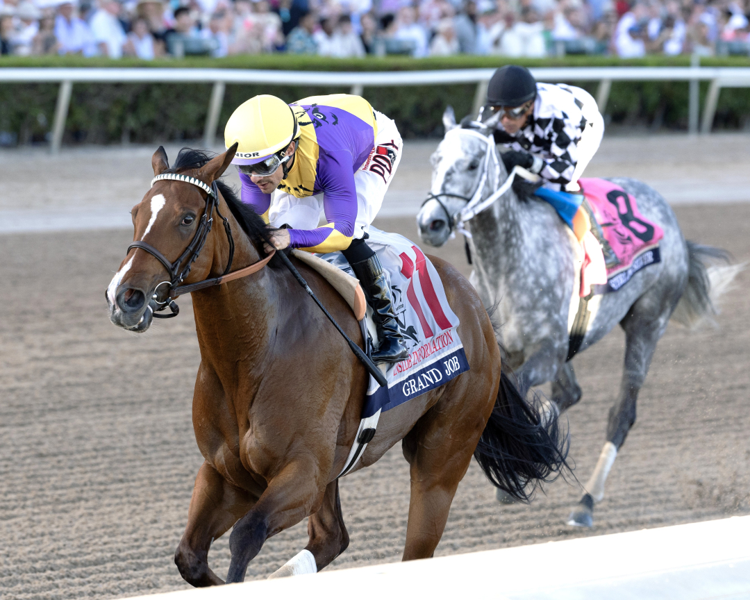 Grand Job wins Inside Information at GP Jan 24 2026