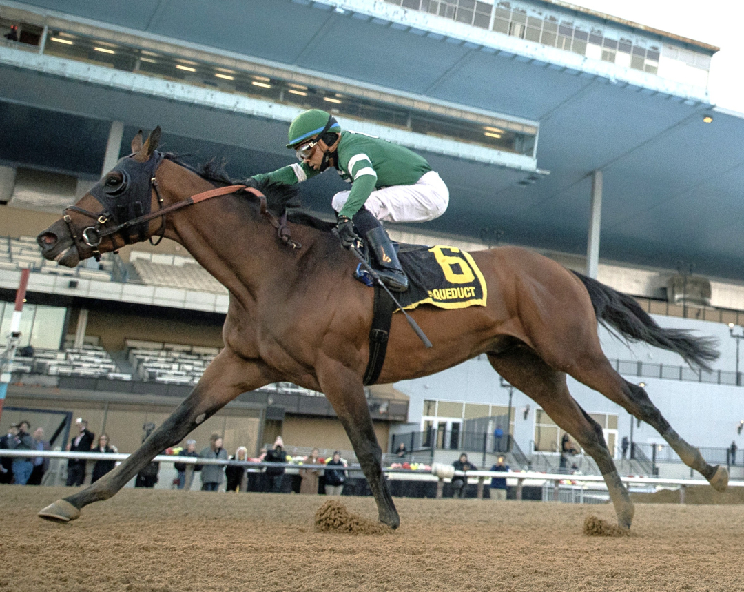 Iron Honor wins Gotham at AQU Feb 28 2026