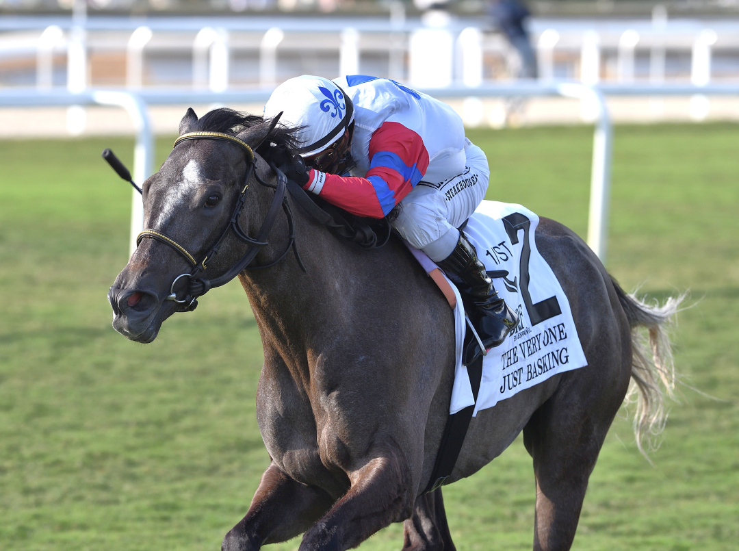 Just Basking wins The Very One at GP Feb 28 2026
