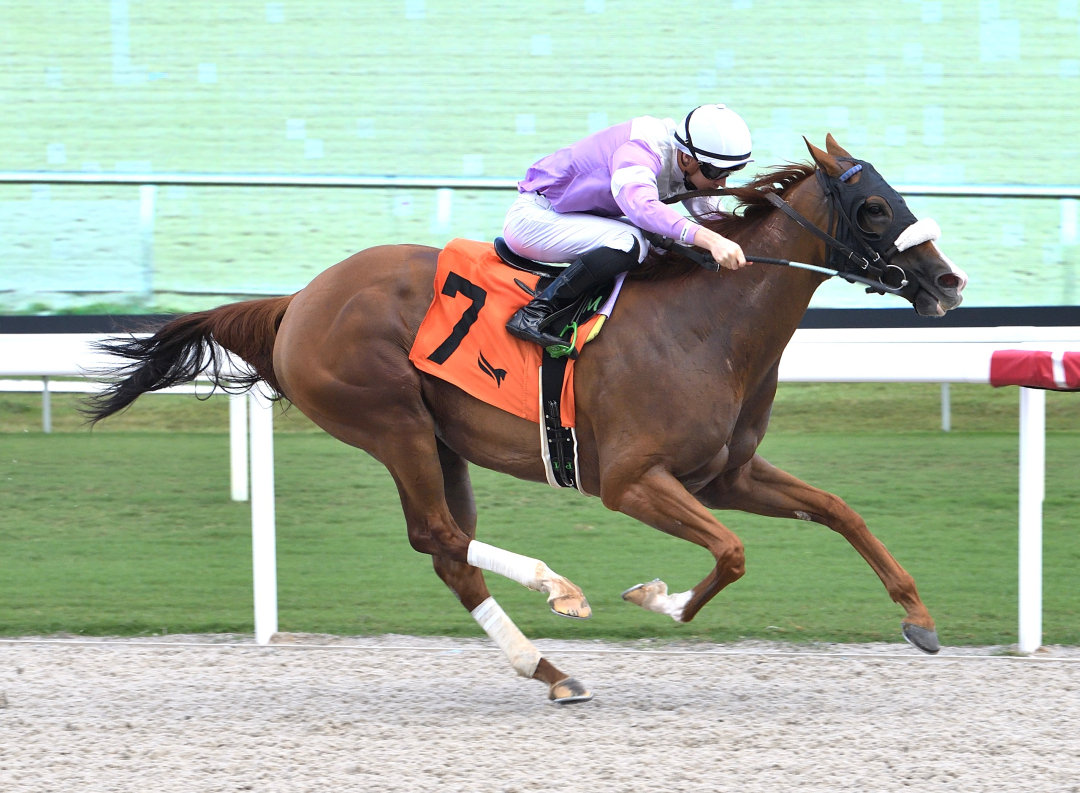 Miss Vyvyanne wins at GP March 14 2026