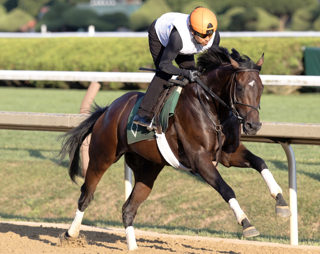 Simulate works at SAR July 30 2025