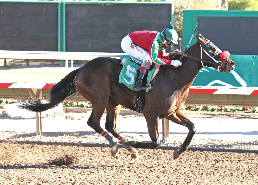 Candy Caballo wins at TUP Dec 10 2024