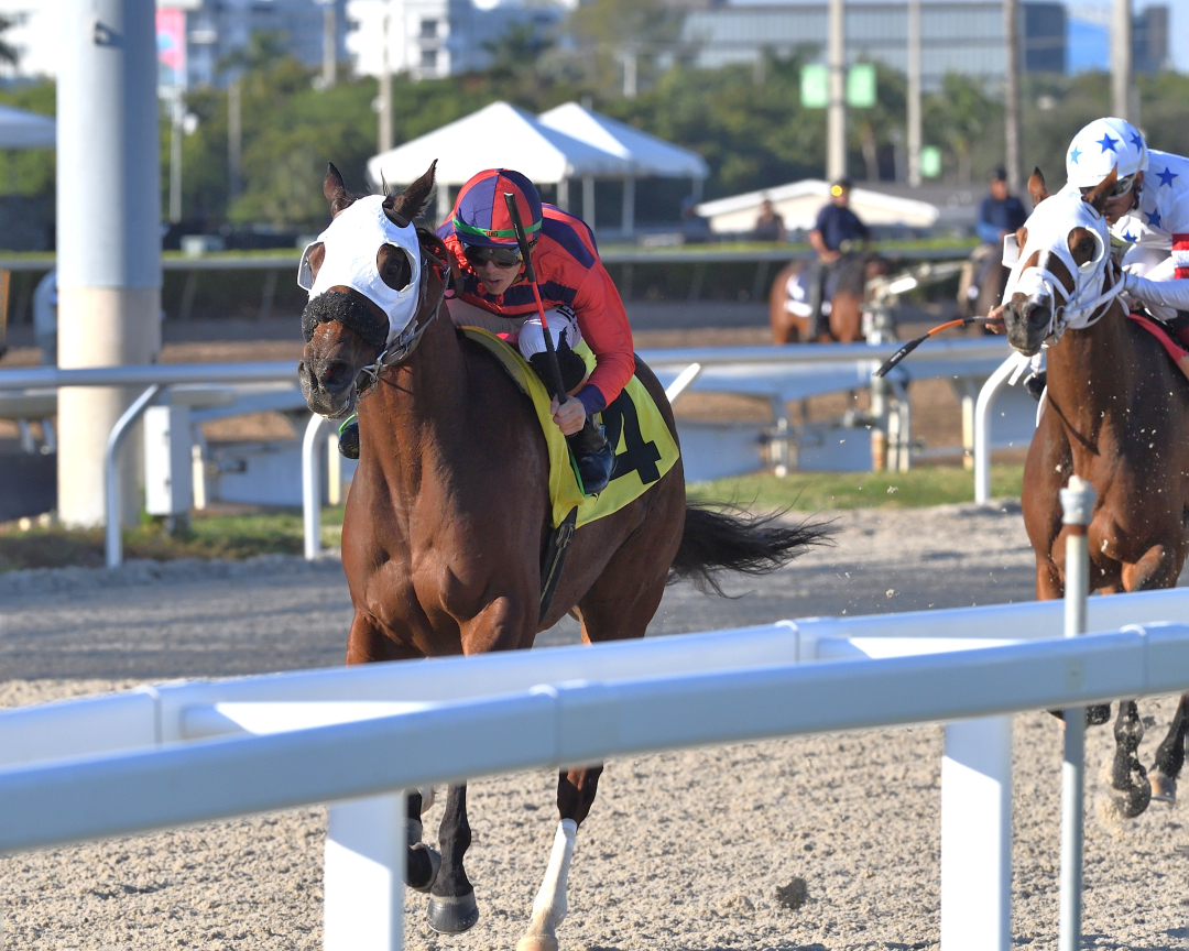 Private Thoughts wins at GP Dec 27 2025