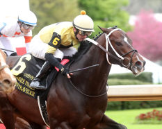 Zia Park Racetrack Picks Live Horse Racing Schedule News