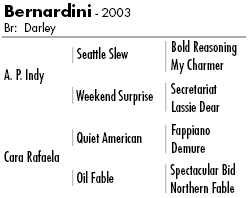 Bernardini pedigree