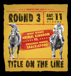 Animal Kingdom vs. Shackleford