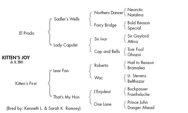 Kitten's Joy pedigree
