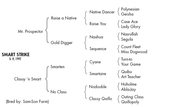 Smart Strike pedigree