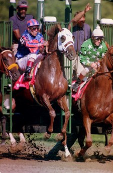 Thunder Gulch