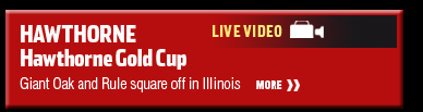 Hawthorne Gold Cup
