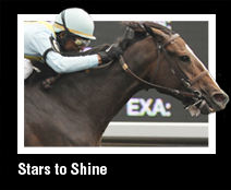 Stars to Shine