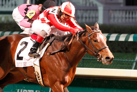 Mucho Macho Man