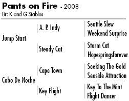 Pants on Fire